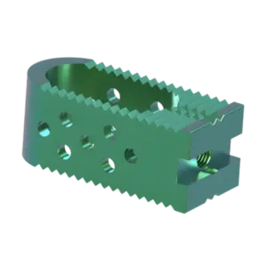 PLIF Cage Lumbar
